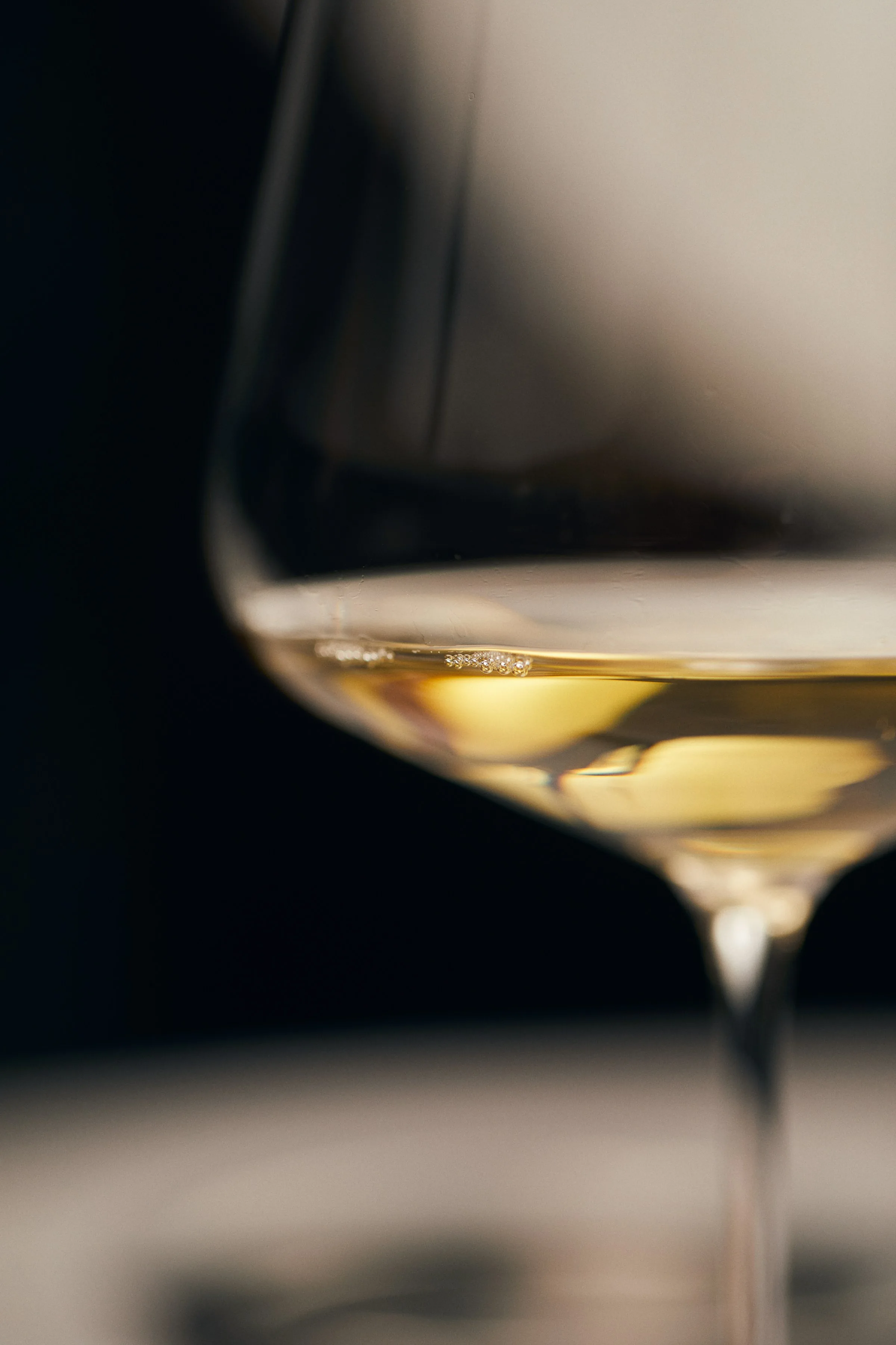 Glass of Chablis during a tasting, wine tourism stay at La Maladrerie