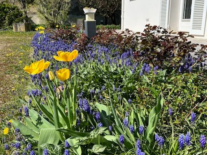 Terrace and garden at La Maladrerie holiday house in Chablis