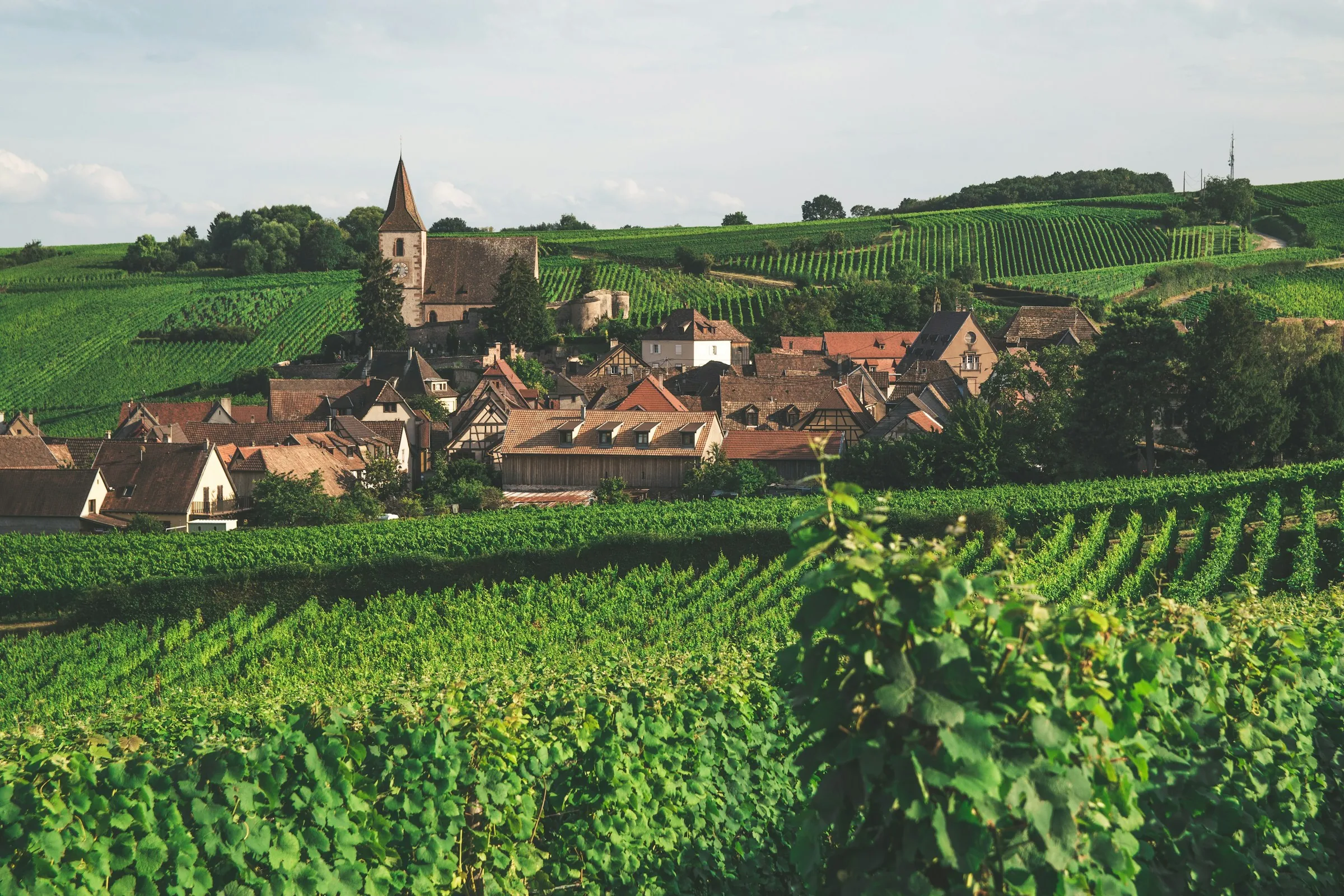 Village bourguignon entouré de vignes et de collines dans l'Yonne